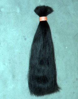 Manufacturers Exporters and Wholesale Suppliers of Human Hair Bulk MURSHIDABAD West Bengal